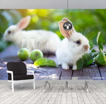 Picture of rabbit and Apple